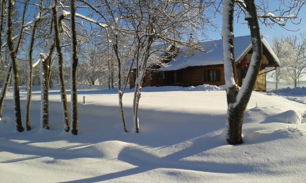 House Marijana Villa Rakovica Luaran gambar