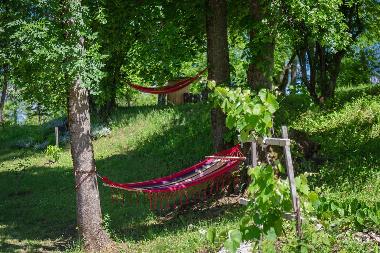 House Marijana Villa Rakovica Luaran gambar